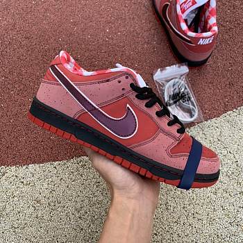 Nike SB Dunk Low Concepts Red Lobster 313170-661