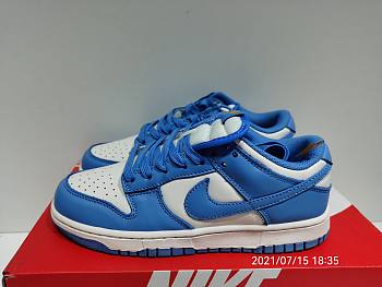 Nike Dunk Low Coast DD1503-100