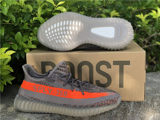 Adidas Yeezy Boost 350 V2 Beluga Reflective GW1229 - 1