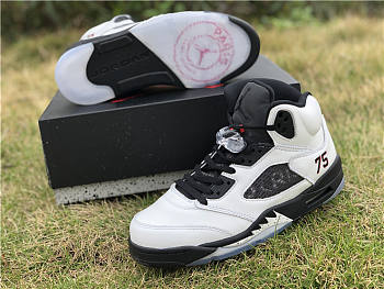 Air Jordan 5 paris AV9175-101