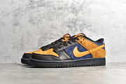 Nike Dunk Low Cider DH0601-001 - 1