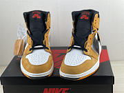 Air Jordan 1 High Element Gore-Tex Light Curry DB2889-700 - 2