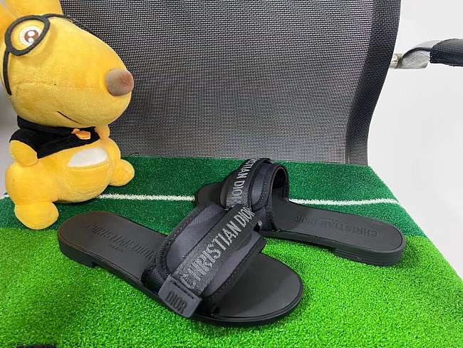 Dior evolution Slide Black - 1