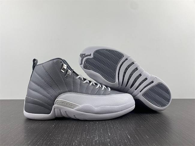 Jordan 12 Retro Stealth CT8013-015 - tipify.ru