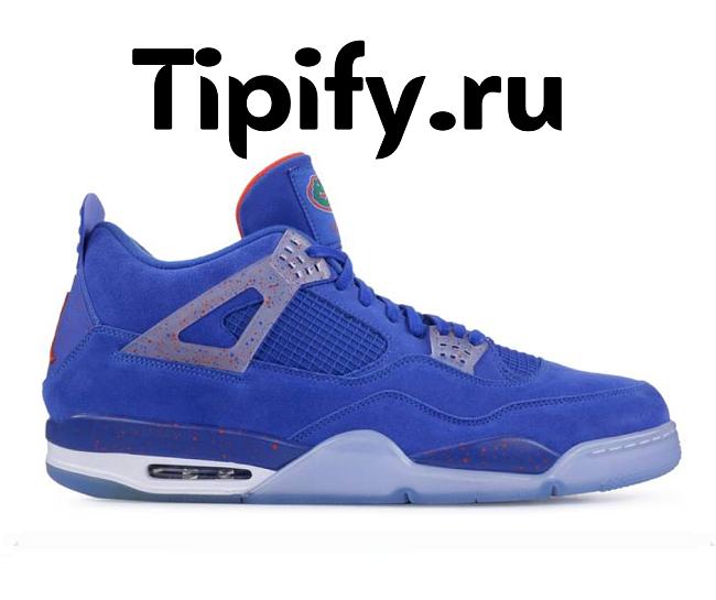 Air Jordan 4 PE Florida Gators 904283 - 1