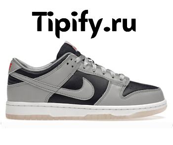 Nike Dunk LowCollege Navy Grey (W) DD1768-400