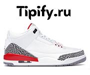 Air Jordan 3 Retro Hall of Fame 136064-116 - 1