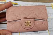 Card Holder (Bill Over $450) - 6