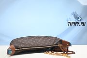 Louis Vuitton LV Loop Hobo Monogram Canvas Brown M46311 - 5