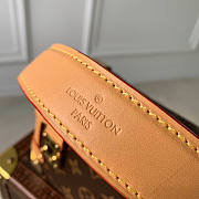 Louis Vuitton Side Trunk PM Bag M46358 - 6