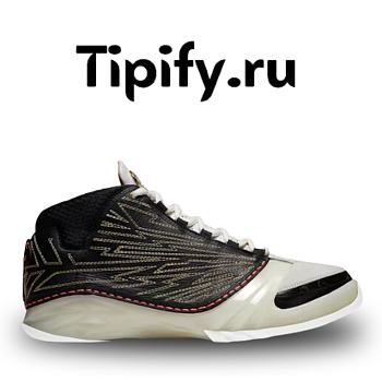 Air Jordan 23 TITAN  CZ6222-001