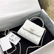 Chanel Clutch With Chain Women's Crossbody White Bag AP3237 B10307 10601 14.5cm x 11.5cm x 5.5cm - 1