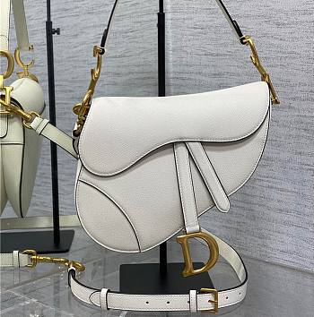 Dior Saddle Bag with Strap Latte Grained Calfskin 25cm x 20cm x 6cm