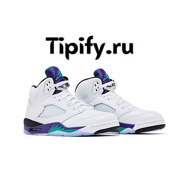 Air Jordan 5 Retro Grape (2025) HQ7978-100