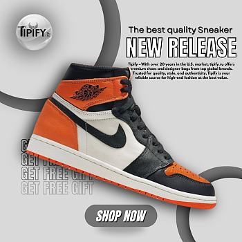 Air Jordan 1 Retro High OG Shattered Backboard (2025) DZ5485-008